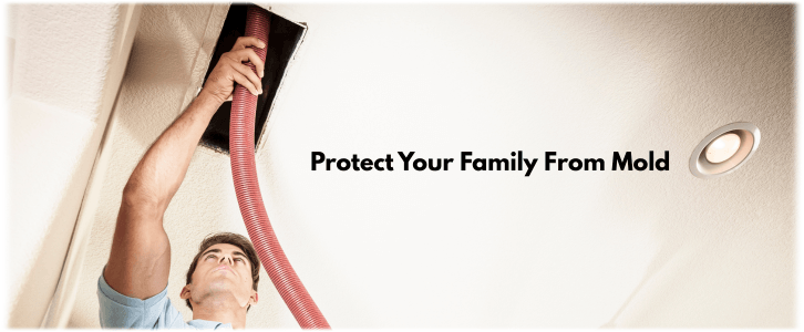 Air Duct Mold Removal in Sugar Land TX
